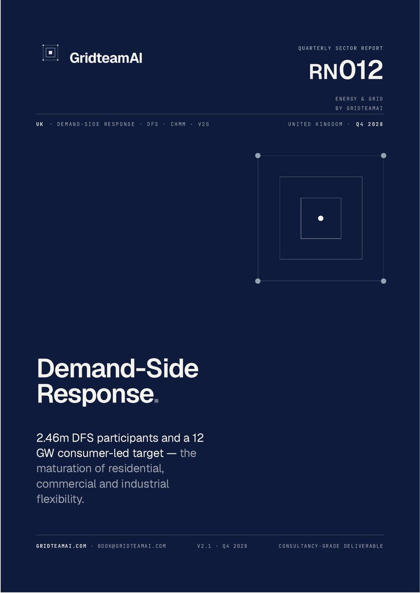 Demand-Side Response in 2029 — cover